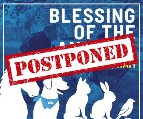 BOA.Postponed Blessing of Animals Postponed