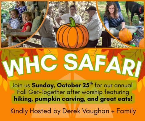 Safari 2026 WHC Safari 2026